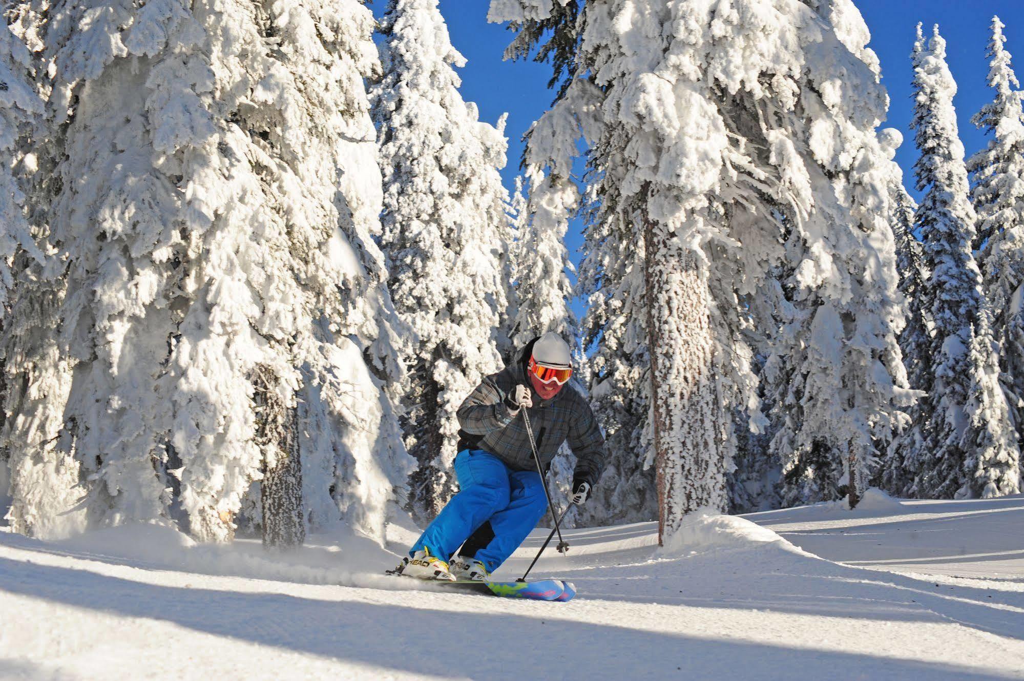 Stonebridge Lodge Big White 외부 사진