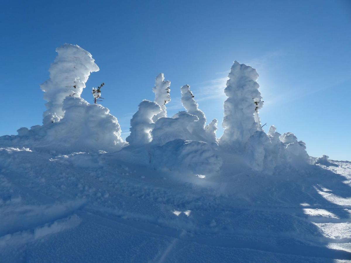 Stonebridge Lodge Big White 외부 사진
